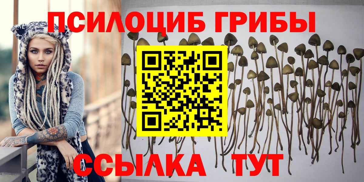 Котельники  Галлюциногенные грибы MAGIC MUSHROOMS  Вход с VPN  Галлюциногенные грибы MAGIC MUSHROOMS 